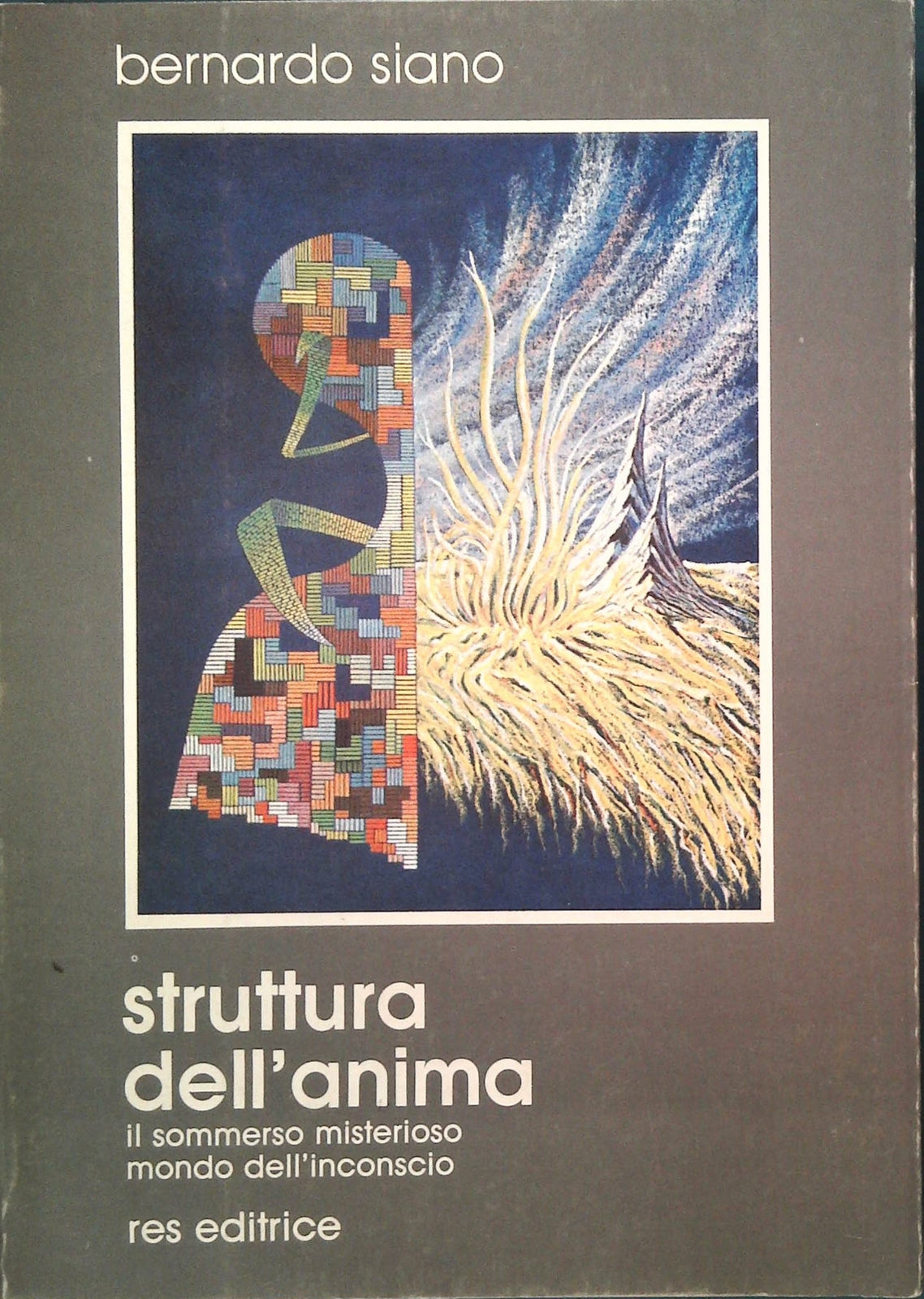 STRUTTURA DELL'ANIMA - ERNARDO SIANO
