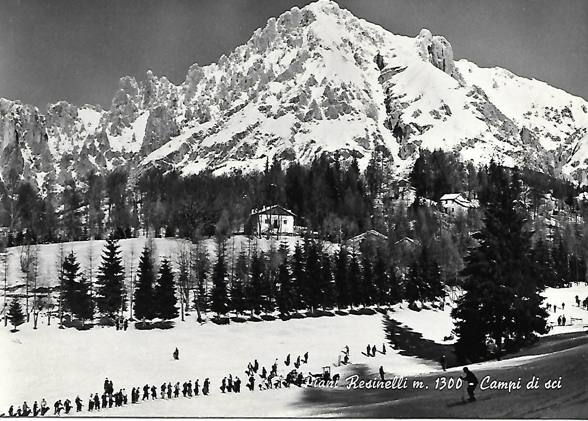 LE DOLOMITI DI SESTO - PANORAMA - NV