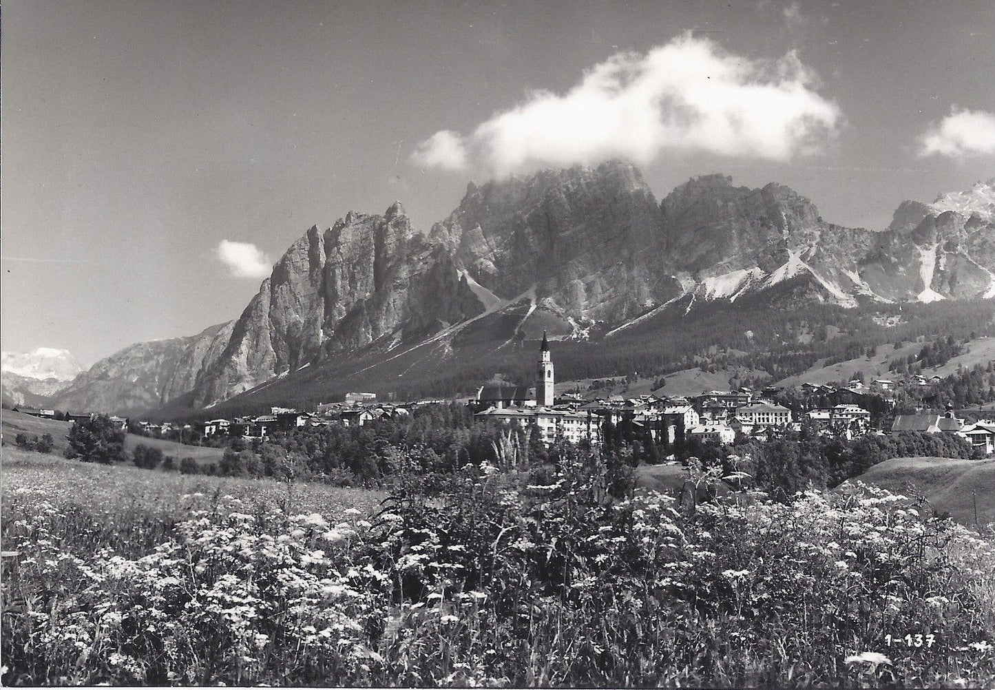 CORTINA - POMAGAGNON - NV - FG