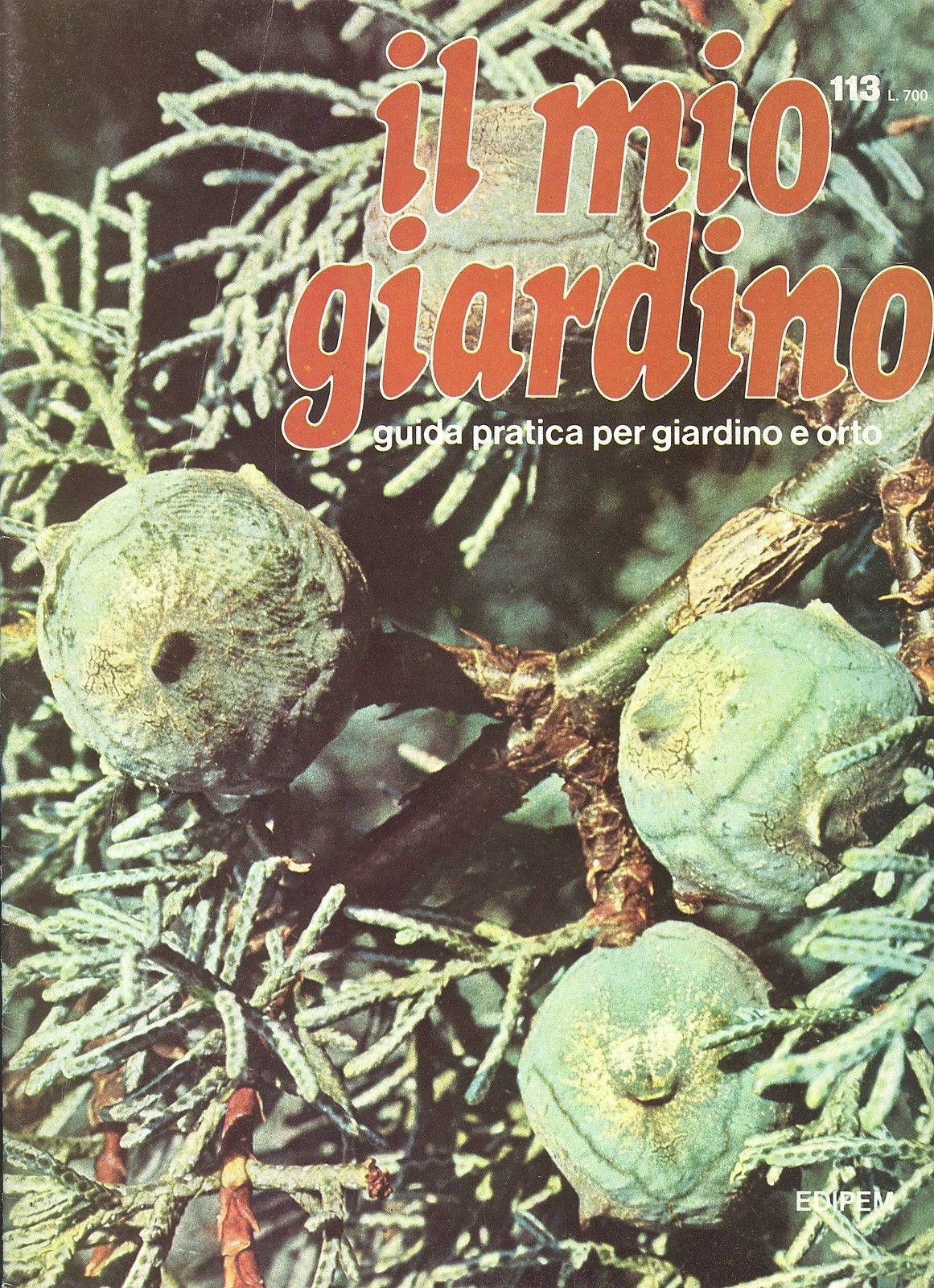 IL MIO GIARDINO N 113
