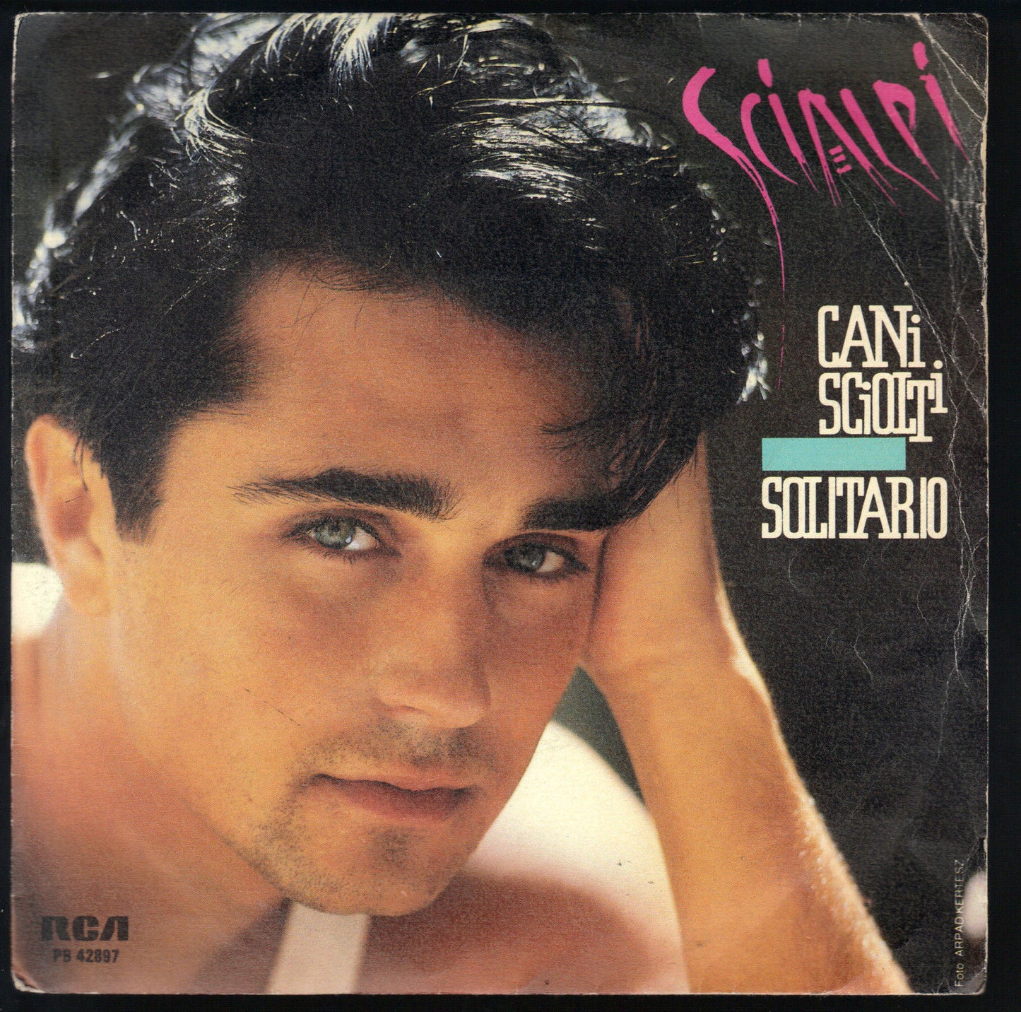 CANI SCIOLTI - SOLITARIO # SCIALPI