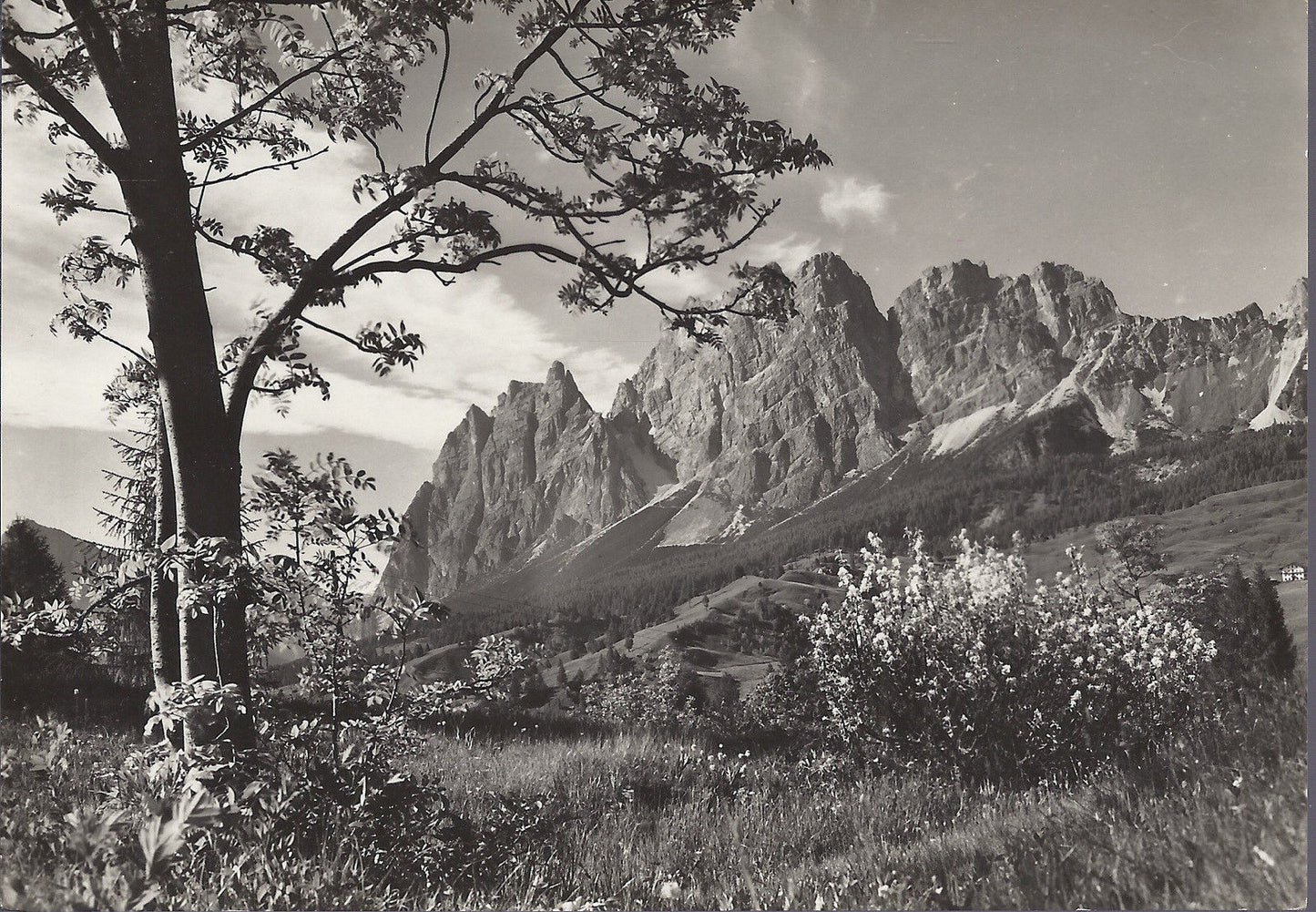 CORTINA - IL POMAGAGNON - NV - FG