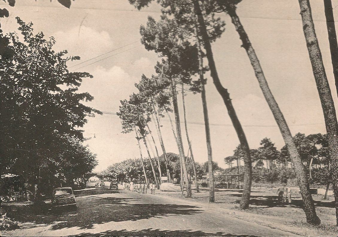 MARINA DI PIETRASANTA - VIALE APUA - VSD