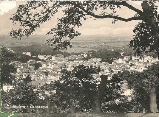 MADDALONI - PANORAMA -V1956