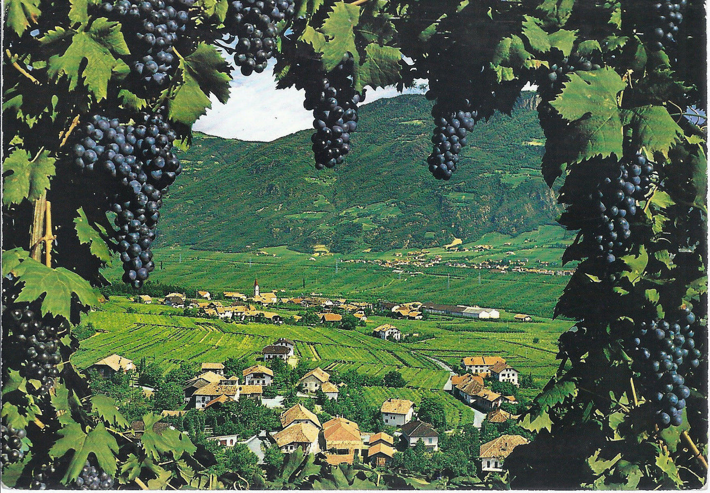 ANDRIANO PRESSO TERLANO - ANDRIAN BEI TERLAN - VSD