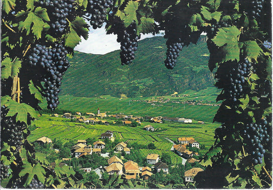 ANDRIANO PRESSO TERLANO - ANDRIAN BEI TERLAN - VSD