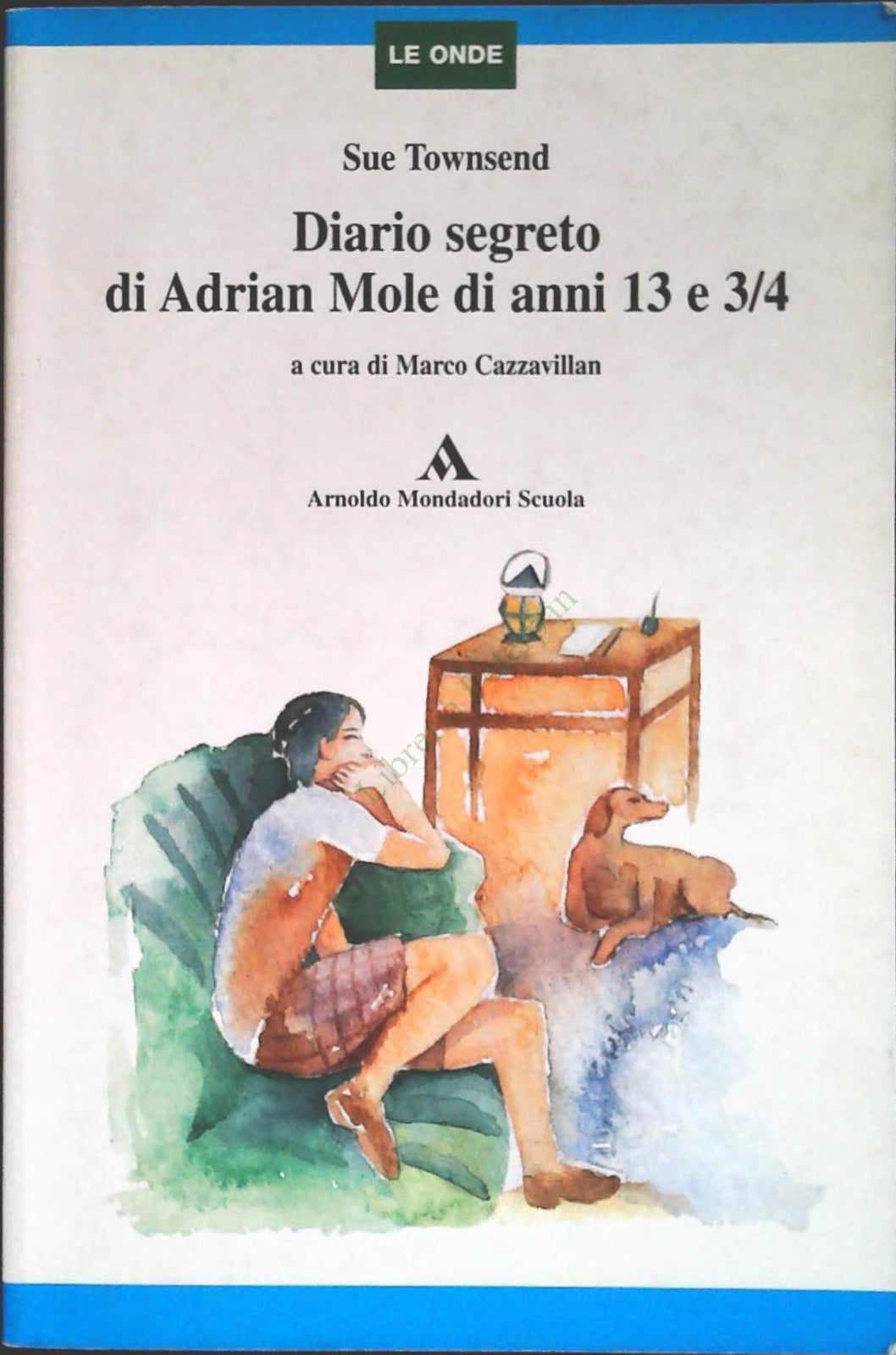 DIARIO SEGRETO DI ADRIAN MOLE DI ANNI 13 3/4-SUE TOWSEND - 1998-OUTLET DEL LIBRO