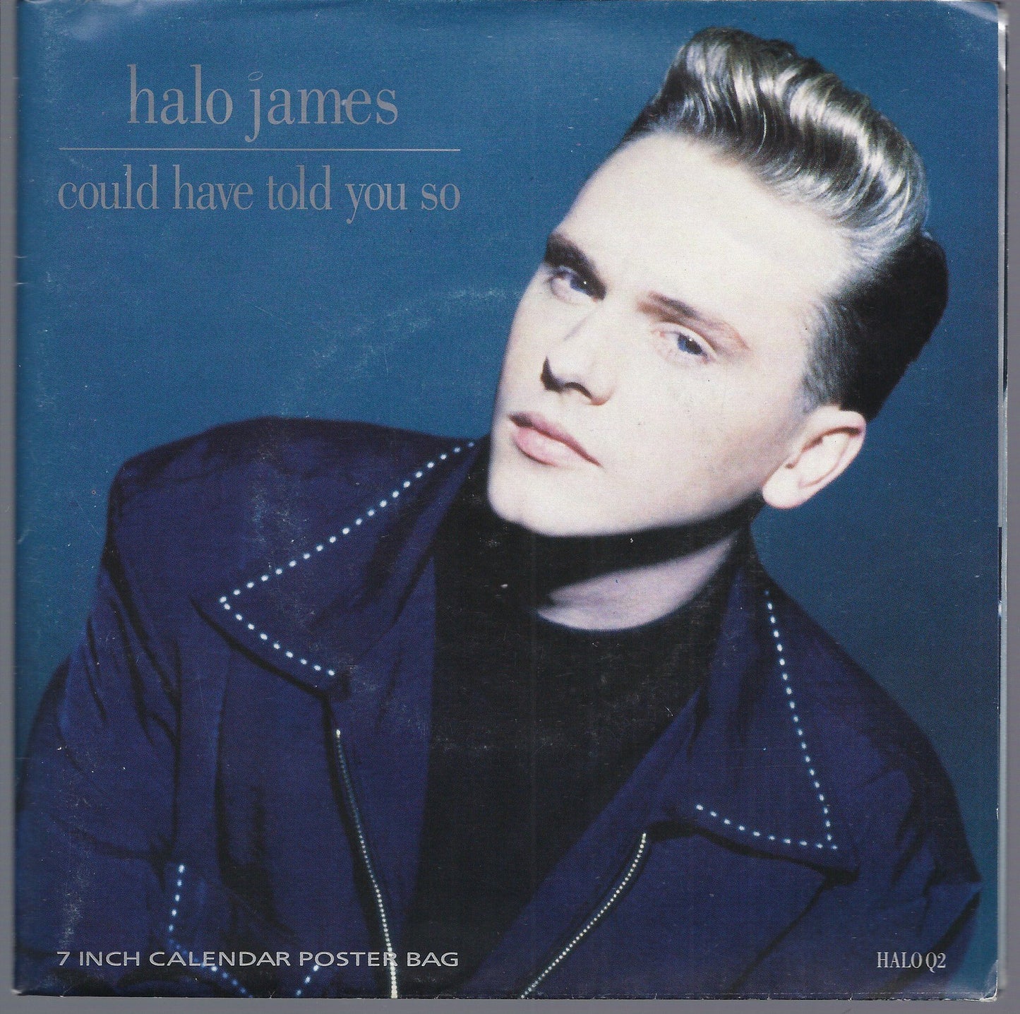 COULD HAVE TOLD YOU SO - WELL OF SOULS -- HALO JAMES calendar poster bag