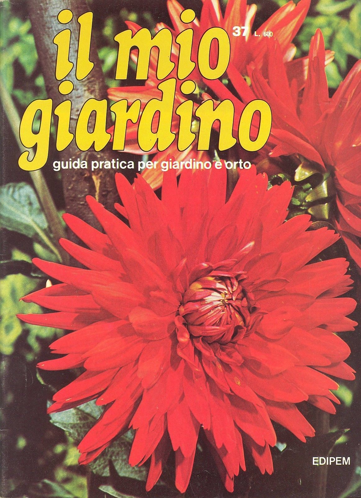 IL MIO GIARDINO N 37