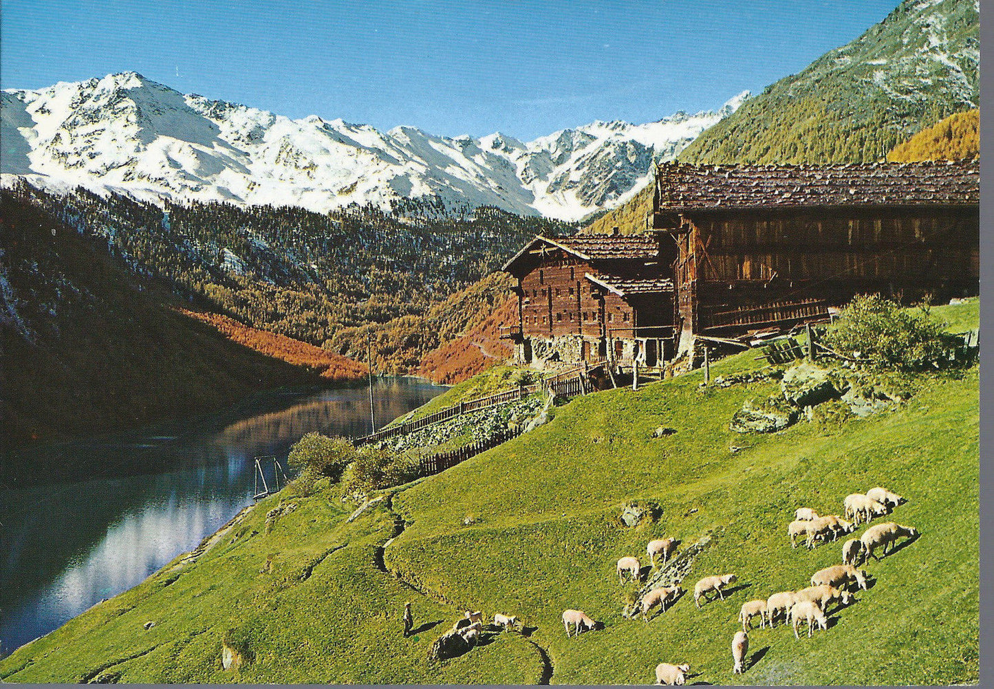 TISENHOF - SCHNALSTAL - VAL SENALES - V 1987