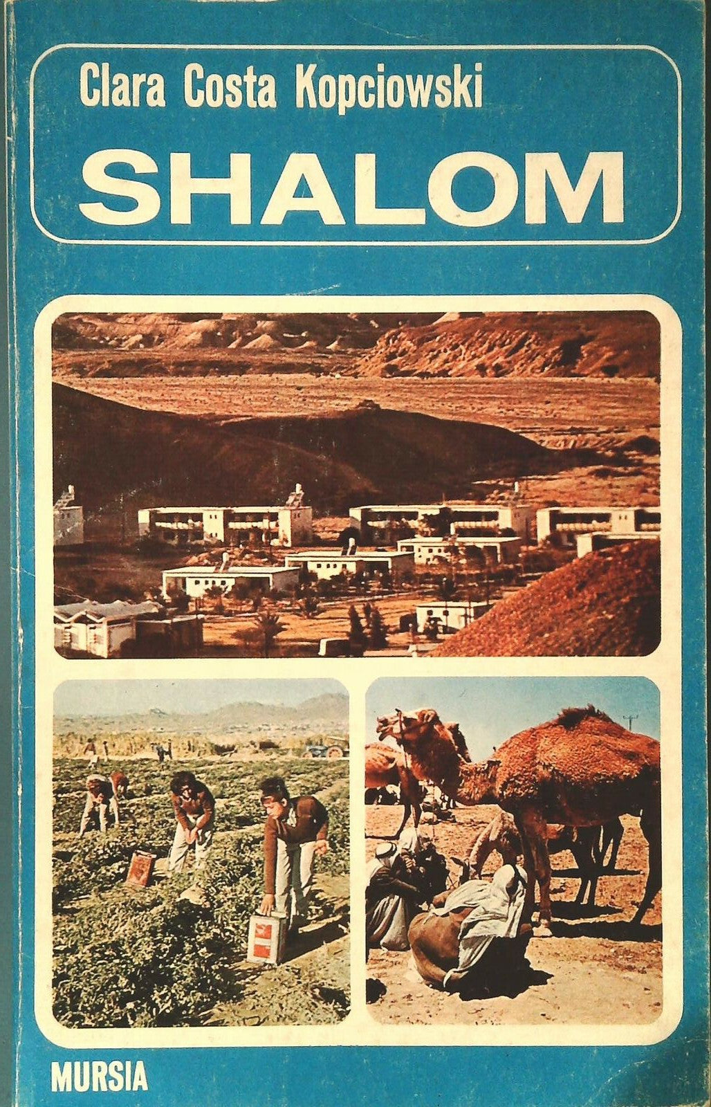 SHALOM - CLARA COSTA KOPCIOWSKI