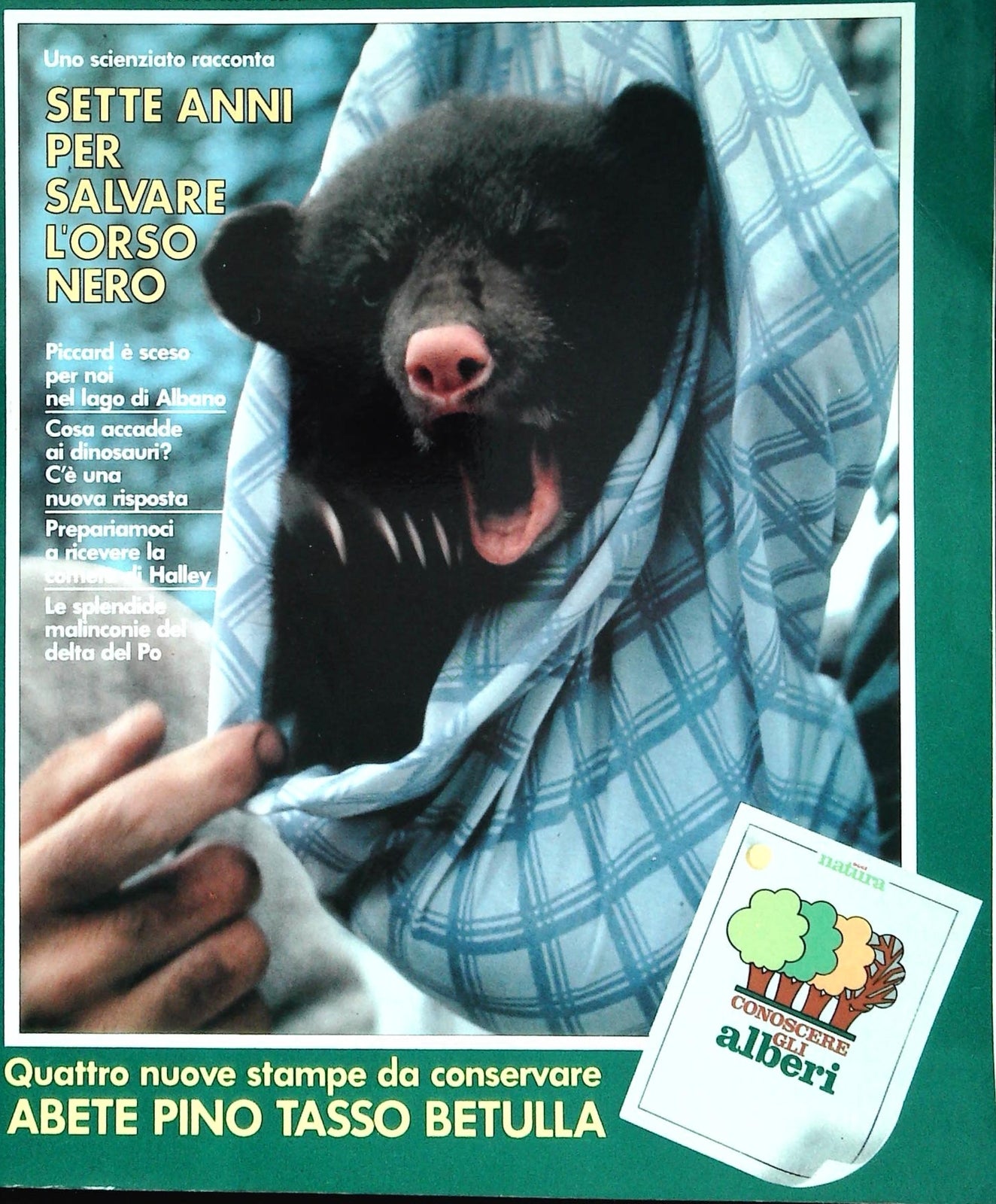 OGGI NATURA N. 1 GENNAIO1985 - OUTLET DEL LIBRO