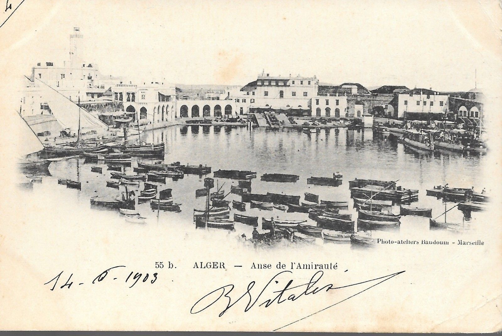 ALGERI - ANSE DE L'AMIRAUTE' - DORSO UNITO - V1903
