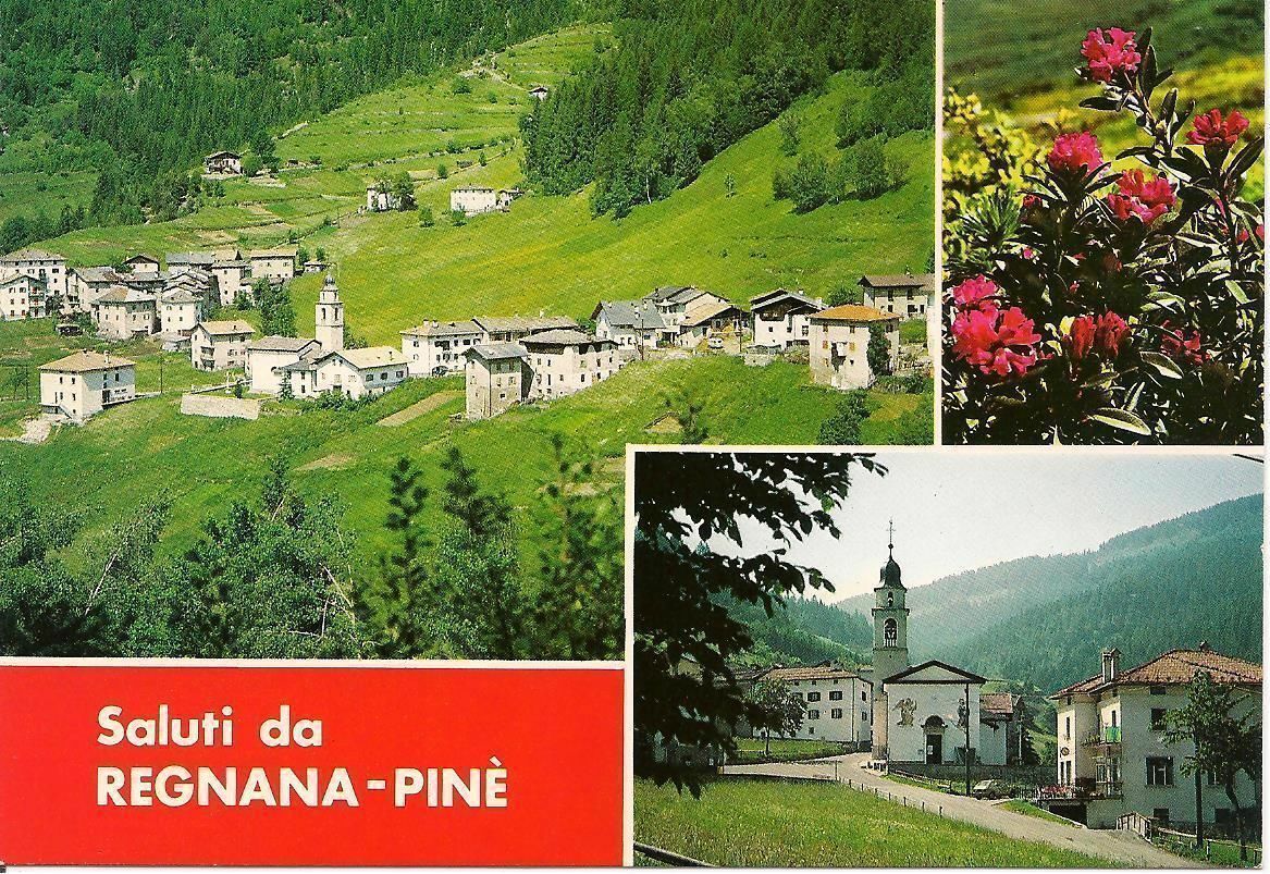 REGNANA - PINE' - 3 VEDUTE - NV