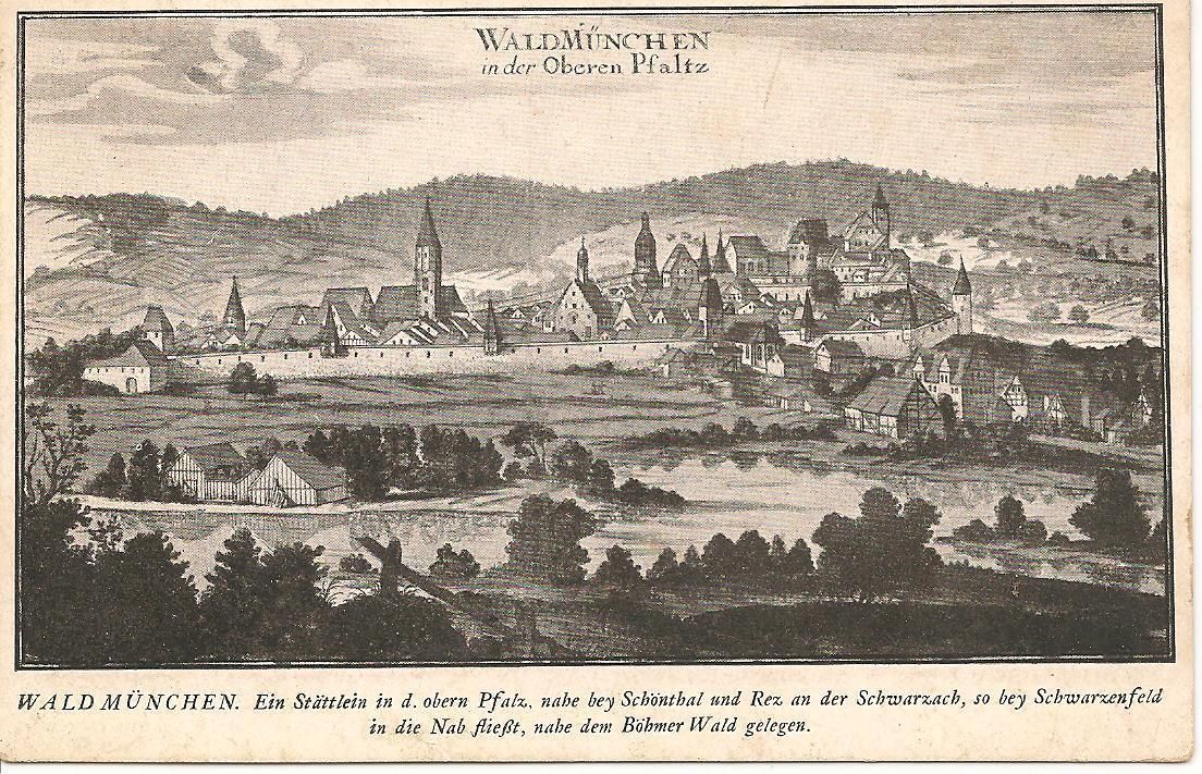 WALDMÜNCHEN - PANORAMA - RIPRODUZIONE STAMPA - NV