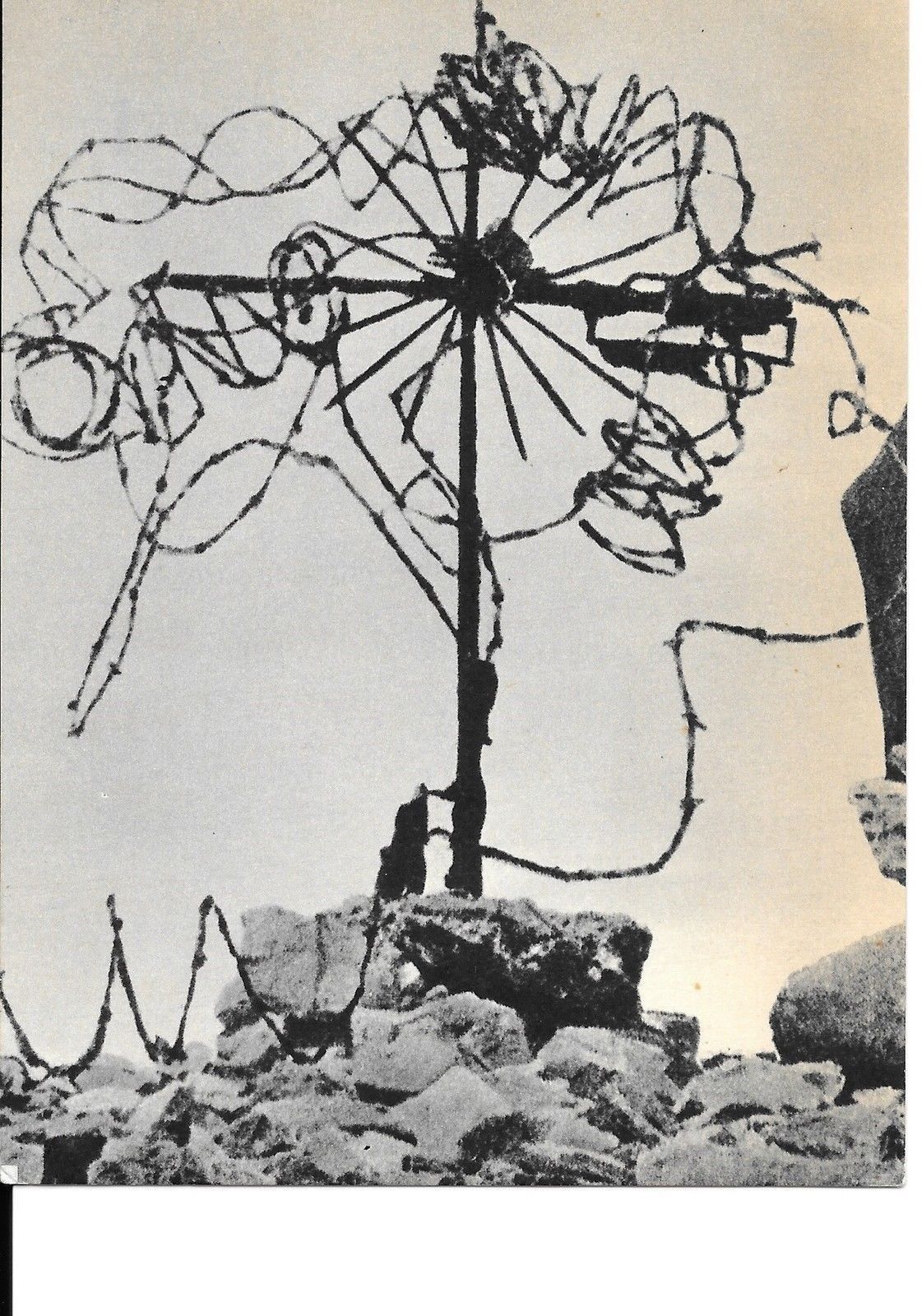 VECCHIO CIMITERO DEGLI EROI-COLLE SANT'ELIA-CADUTI-1915
