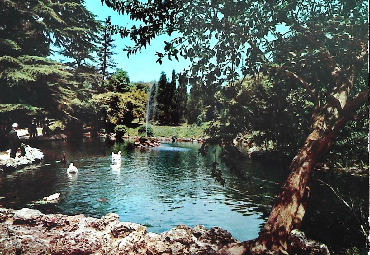BENEVENTO - GIARDINI PUBBLICI - V1974