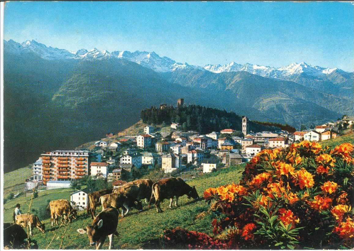 TEGLIO PANORAMA - V