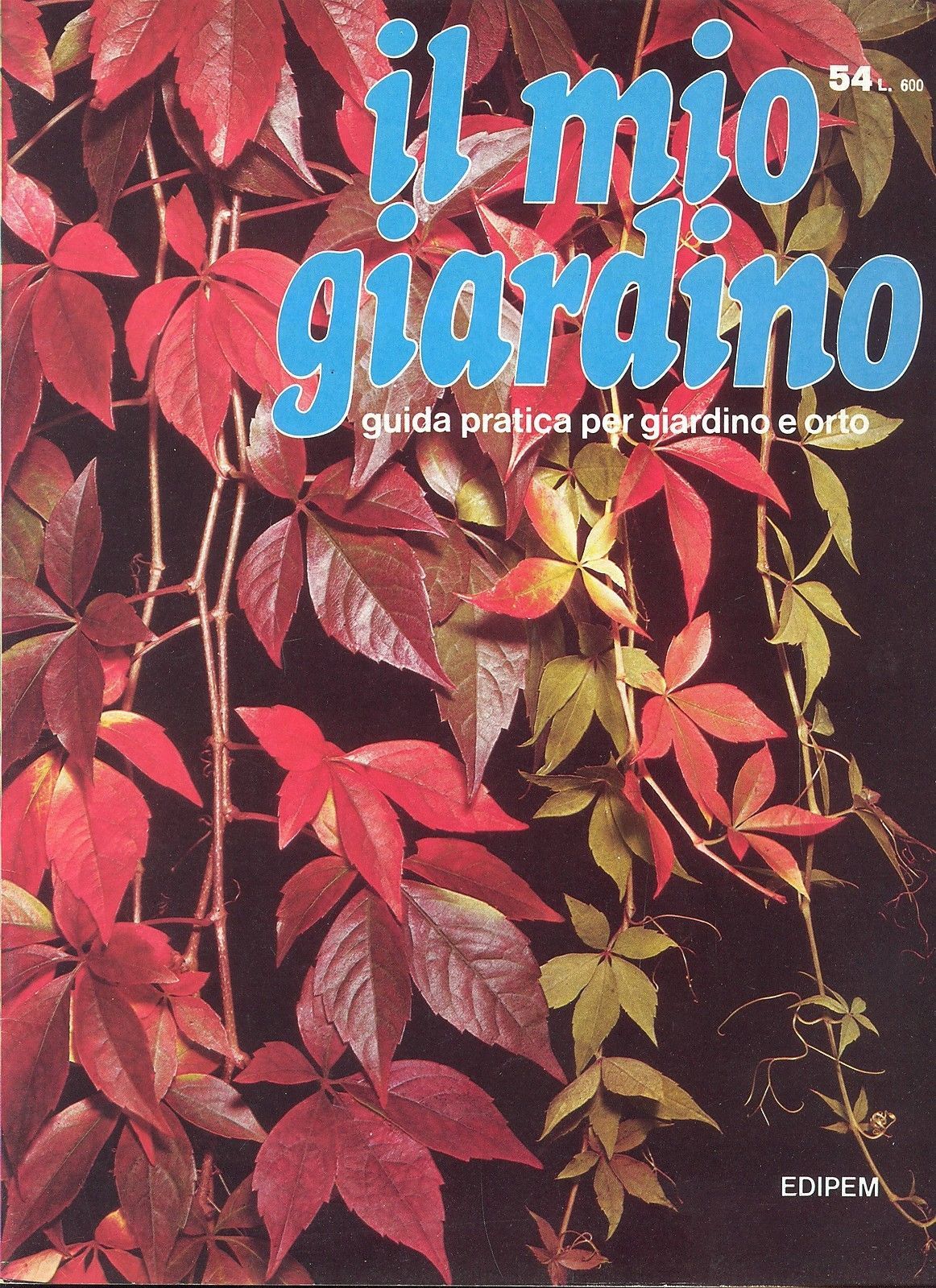 IL MIO GIARDINO N 54