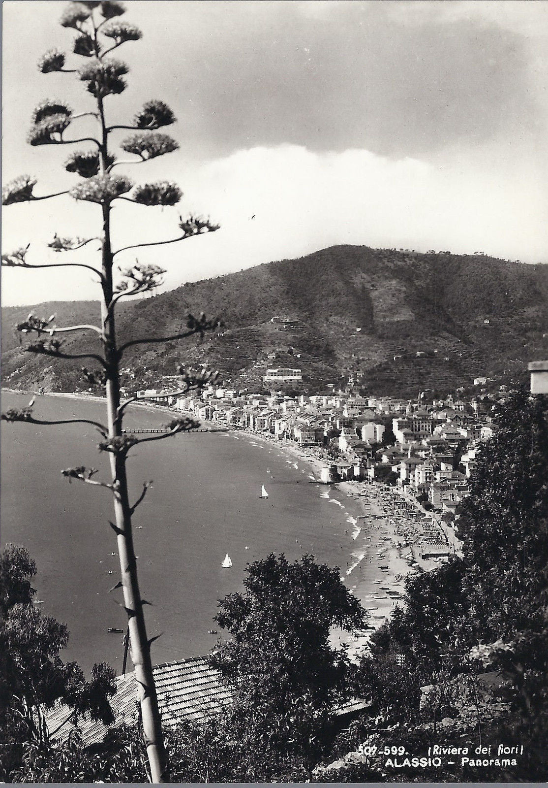 ALASSIO - RIVIERA DEI FIORI - PANORAMA - NV