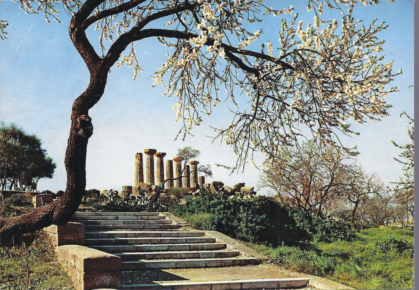 AGRIGENTO - TEMPIO A ( TEMPIO DI ERCOLE ) - VIB 1989 - FG