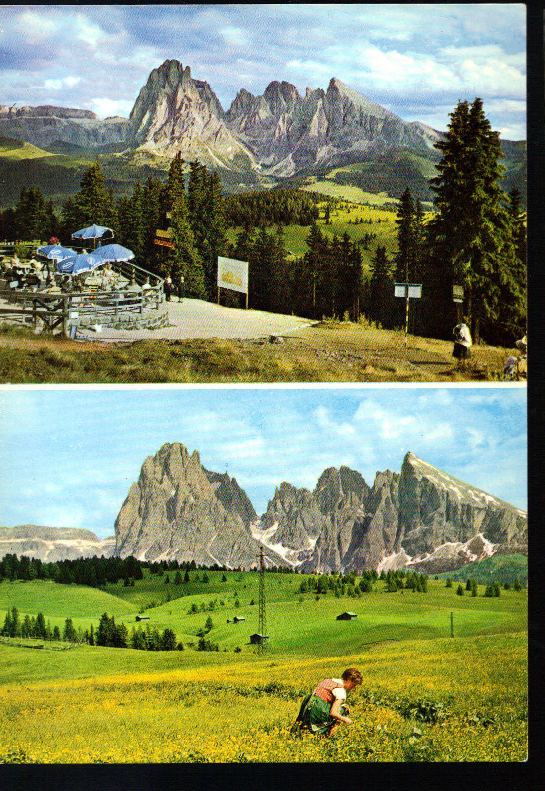 ALPE DI SIUSI E GRUPPO SASSOLUNGO - 2 VEDUTE - NV
