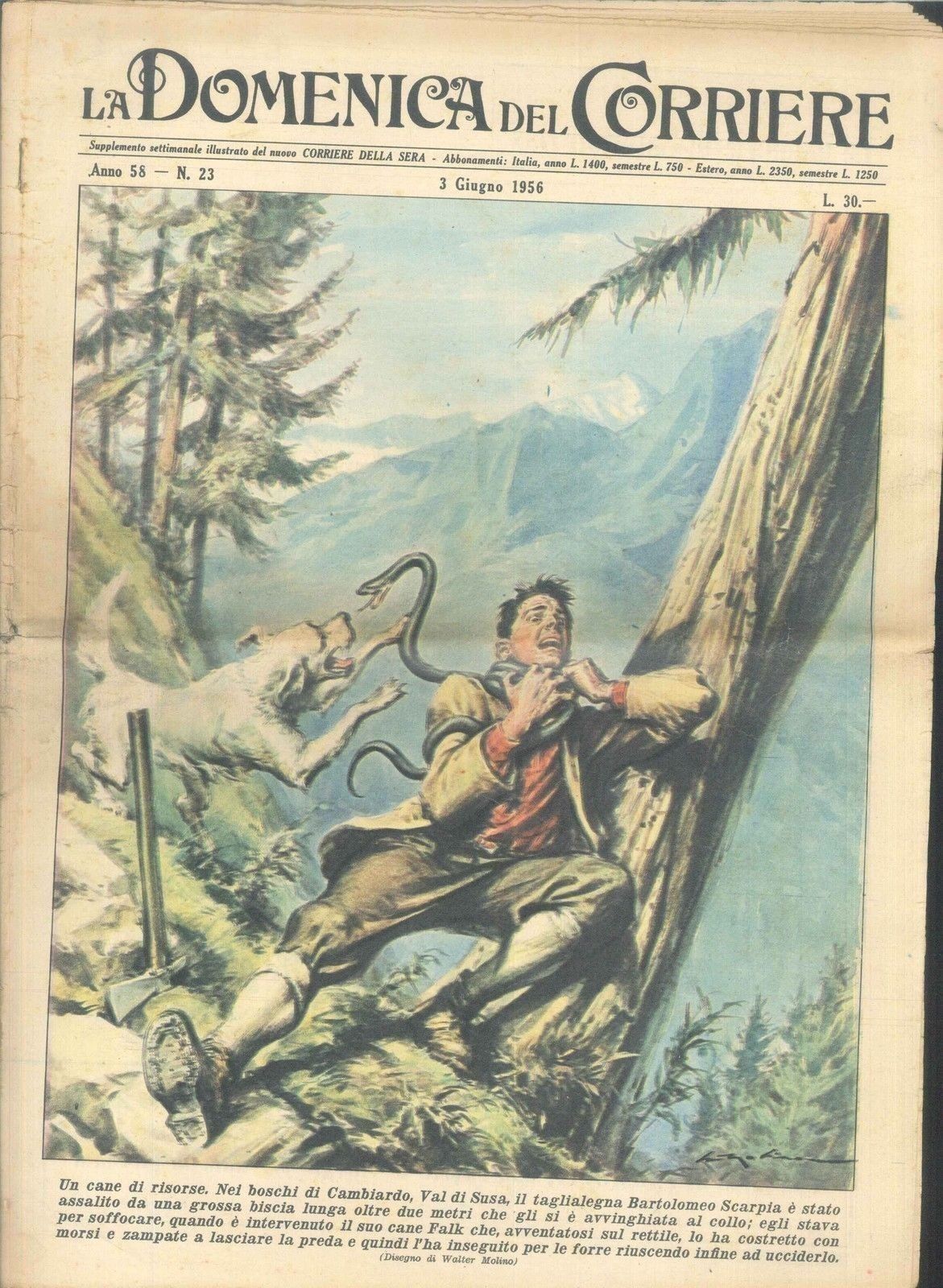 DOMENICA DEL CORRIERE N 23 - 3 GIUGNO 1956 - ILL. WALTER MOLINO