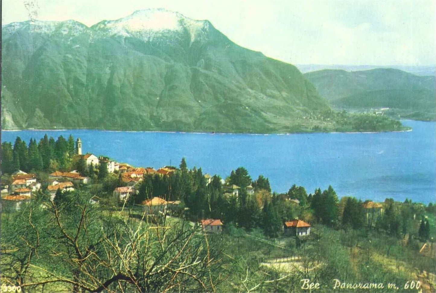 BEE' - PANORAMA