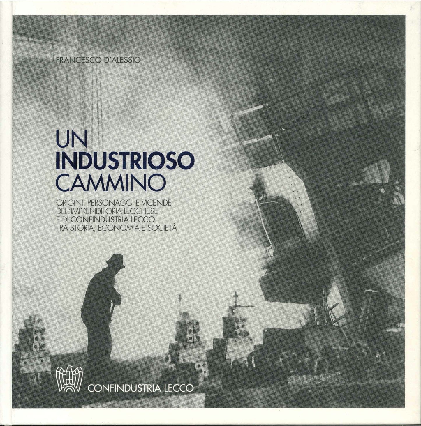 UN INDUSTRIOSO CAMMINO - FRANCESCO D'ALESSIO