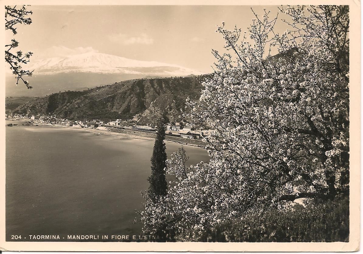 TAORMINA - "MANDORLI IN FIORE" NV