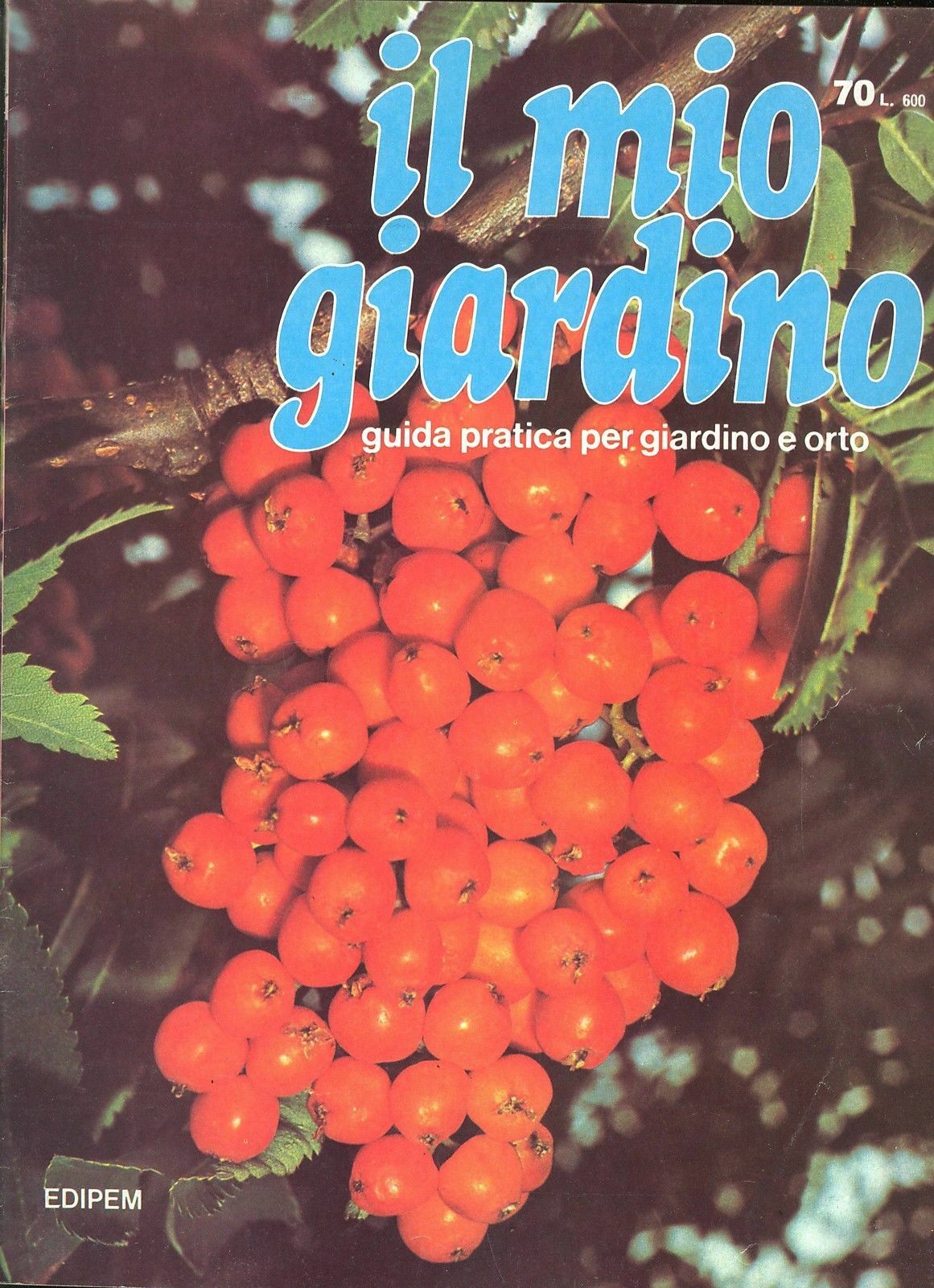 IL MIO GIARDINO N 70
