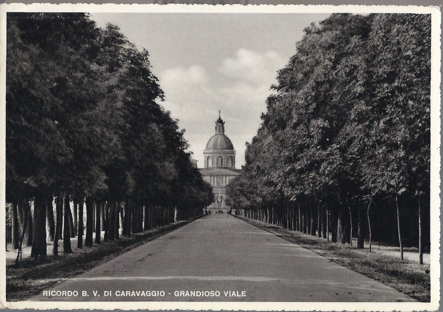 CARAVAGGIO - SANTUARIO B.V. - GRANDIOSO VIALE - V 1953 - FG