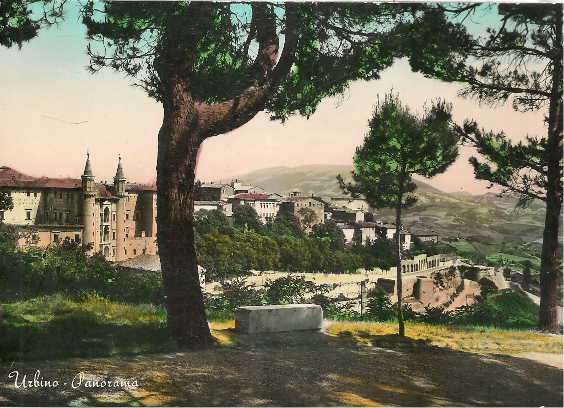 URBINO - PANORAMA - NV - ACQUARELLATA