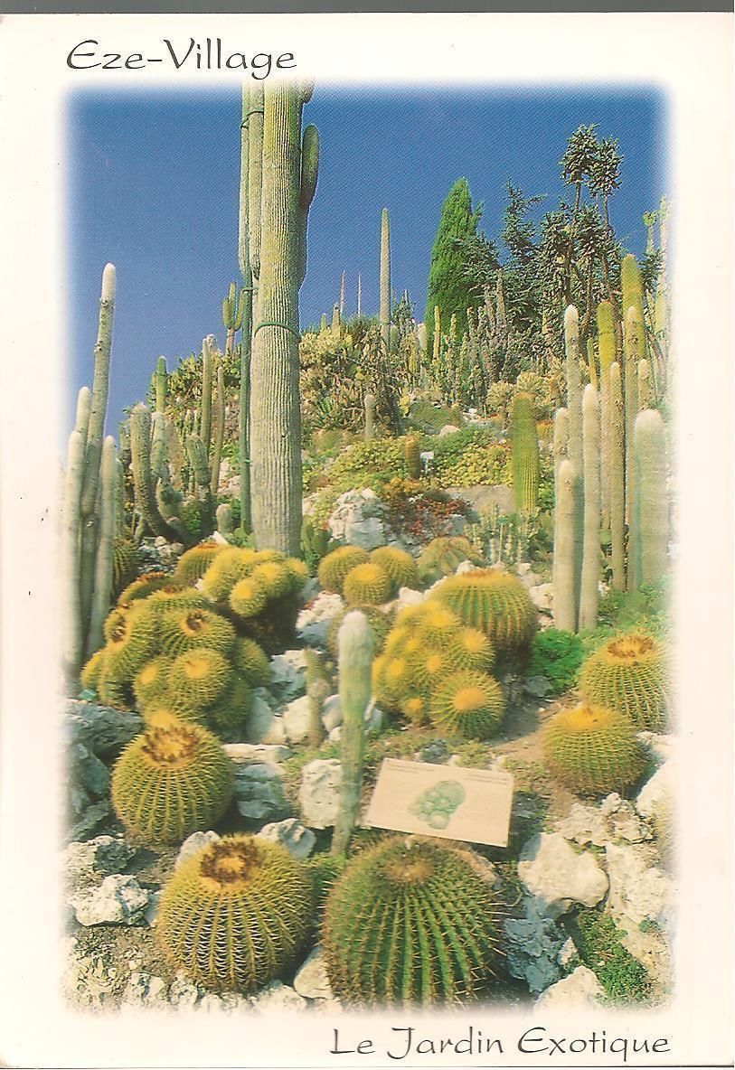 EZE-VILLAGE - LE JARDIN EXOTIQUE - V2005