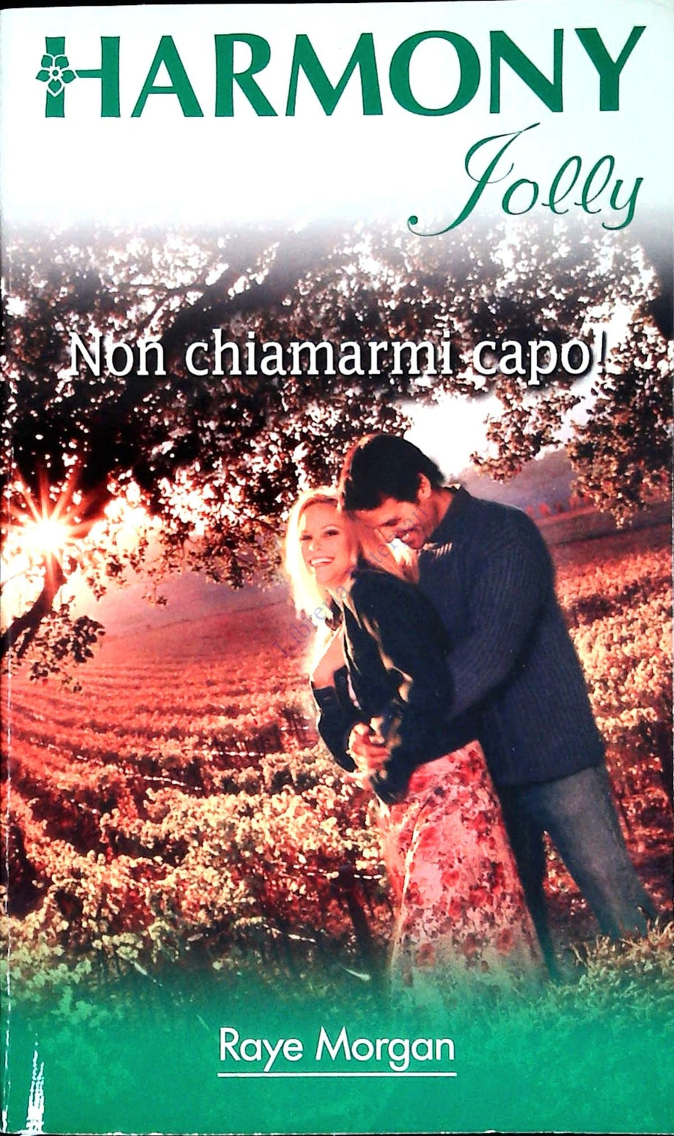 NON CHIAMARMI CAPO - RAYE MORGAN - HARMONY JOLLY N. 2005