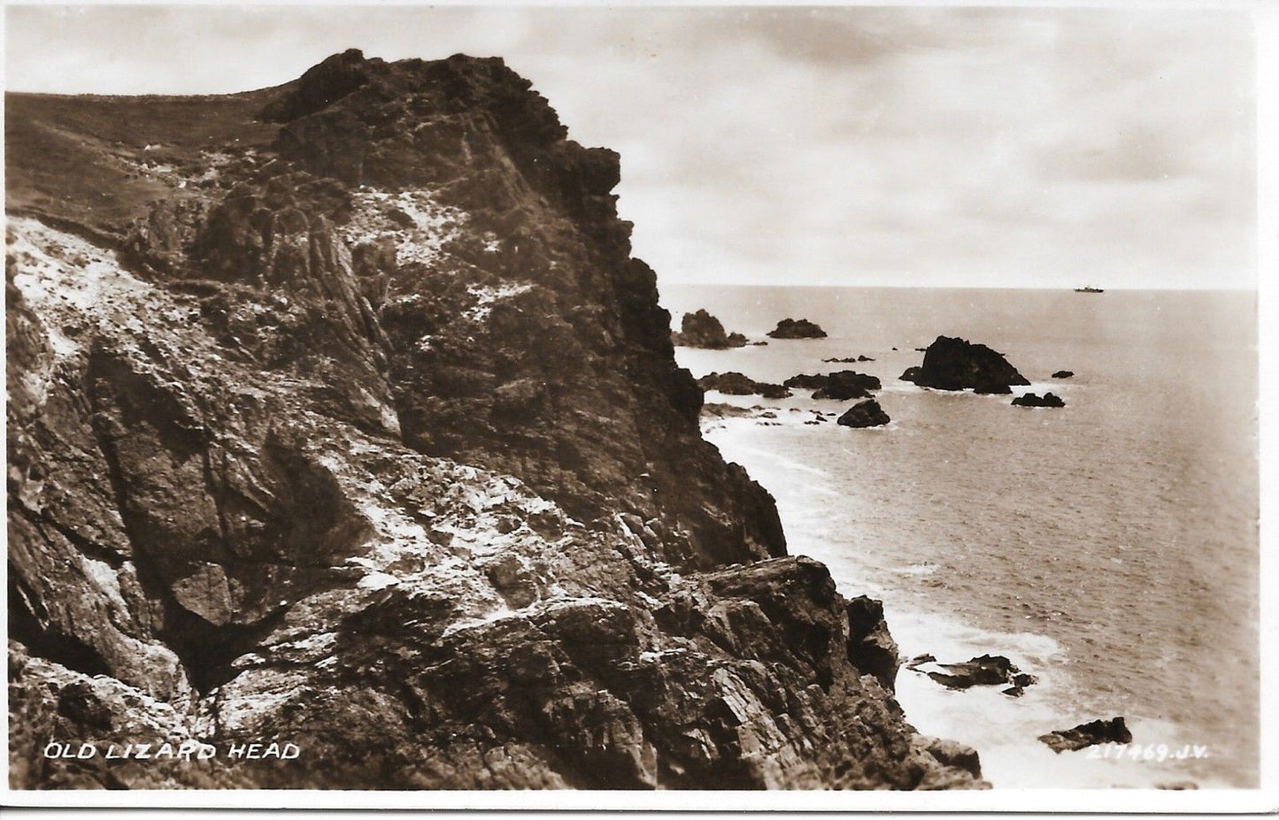 OLD LIZARD HEAD - PANORAMA - V/T