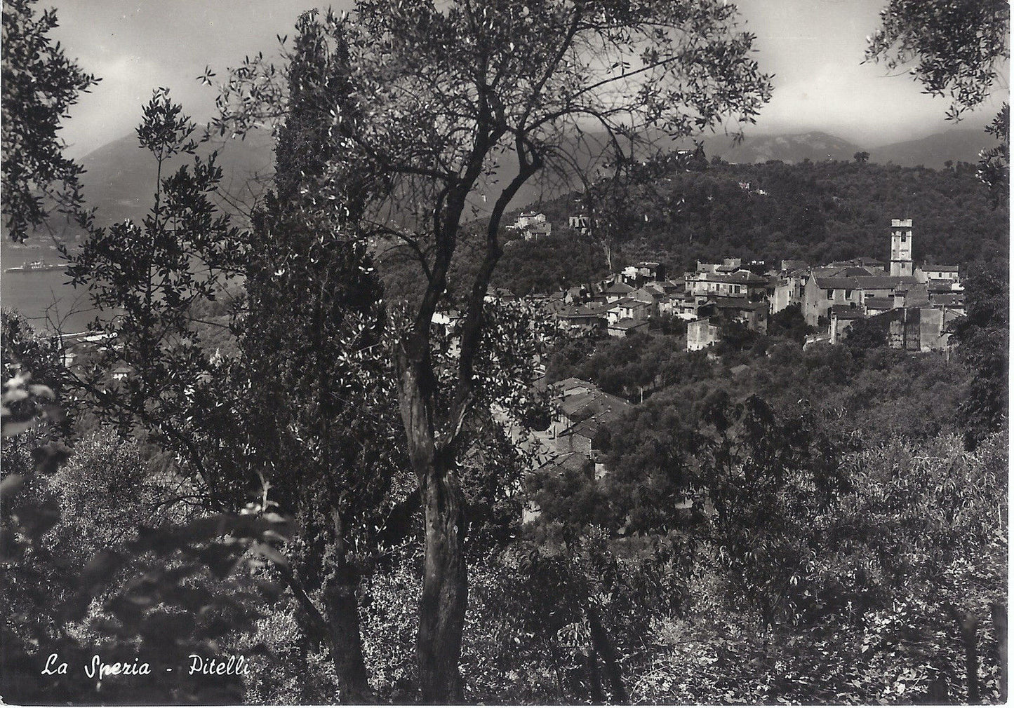 PITELLI di LA SPEZIA - NV - FG