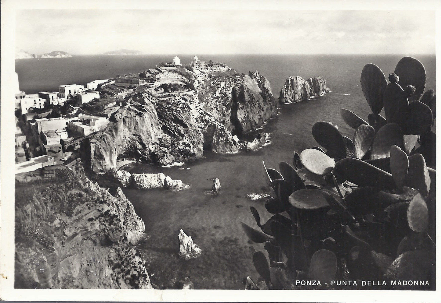 PONZA - PUNTA DELLA MADONNA - NV - FG
