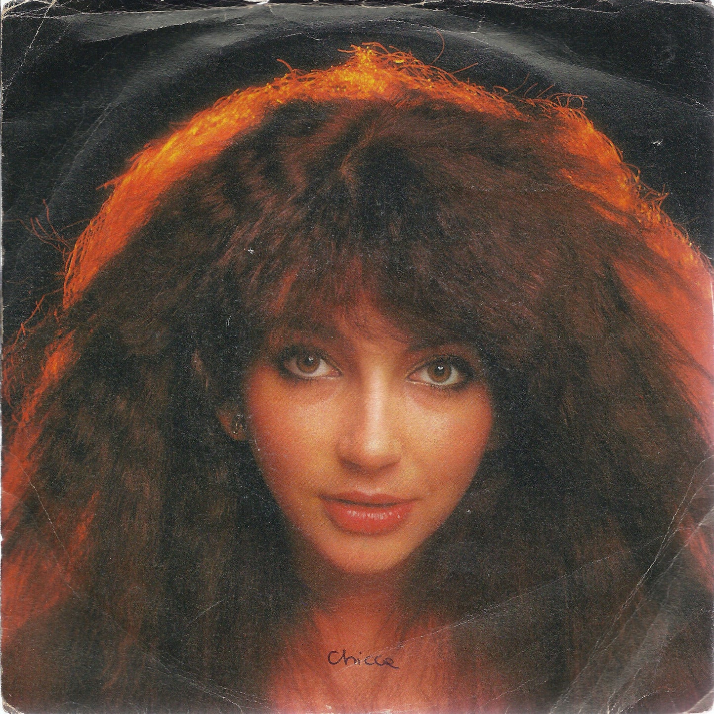 HAMMER HORROR - COFFEE HOMEGROUND # KATE BUSH