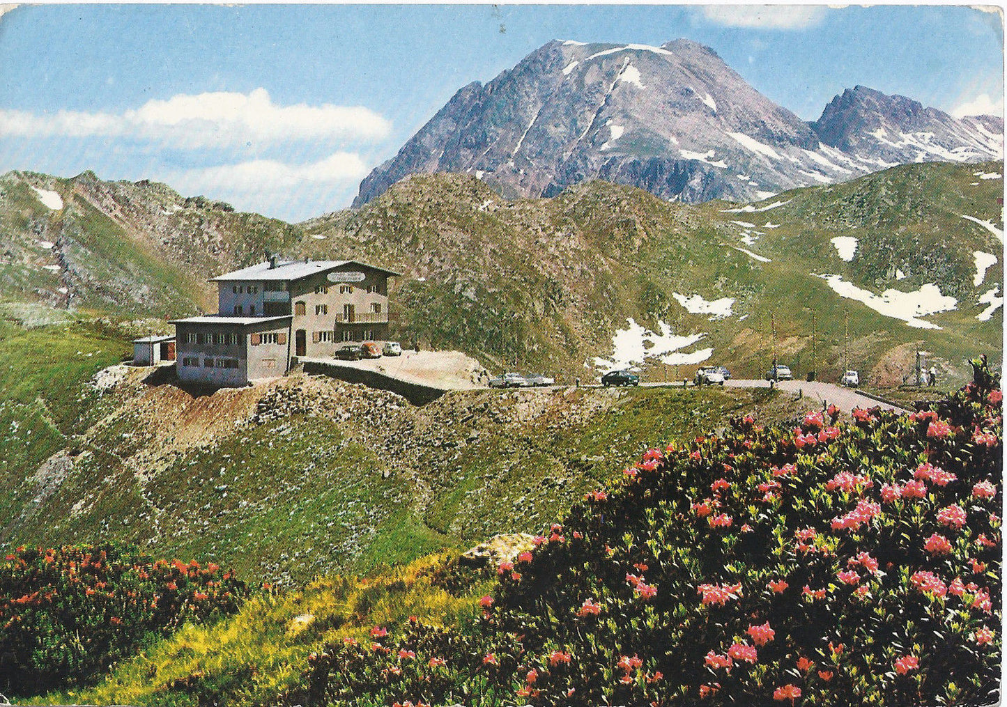 PASSO PENNES - PENSERJOCH - ALPENROSENHOF - NV - FG