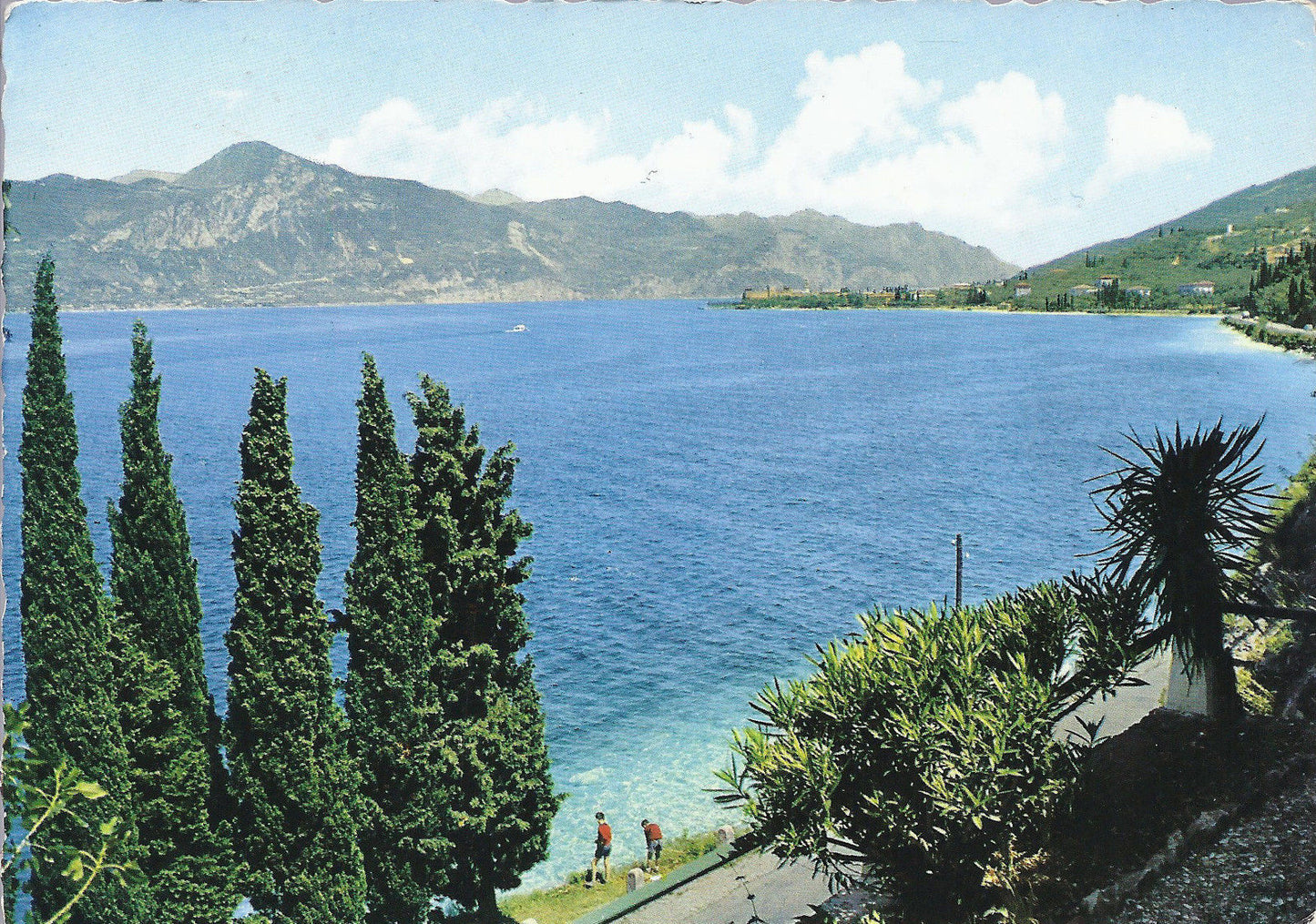 LAGO DI GARDA - PANORAMA VERSO TORRI DEL BENACO - V1975