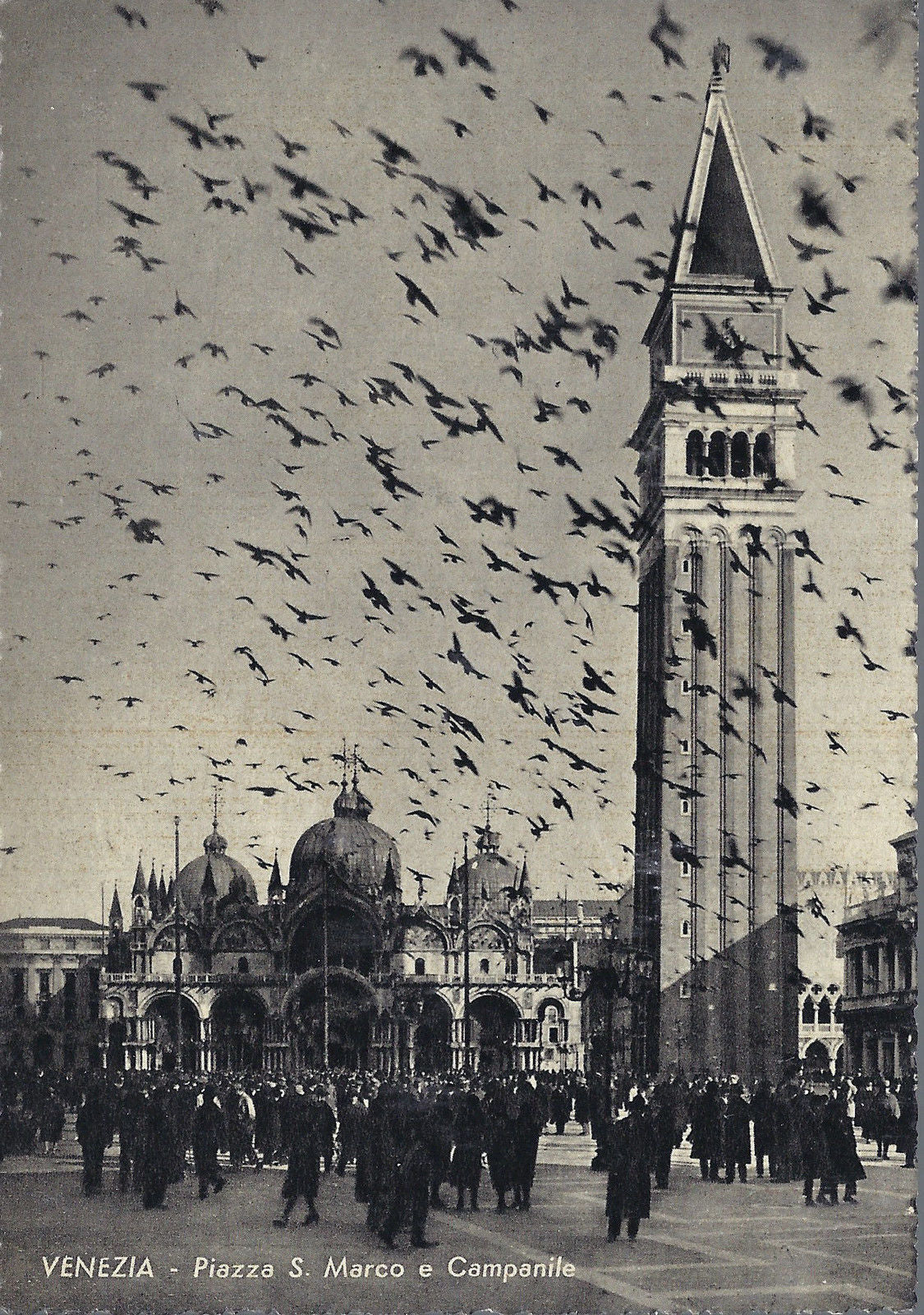 VENEZIA - PIAZZA S. MARCO E CAMPANILE - NV