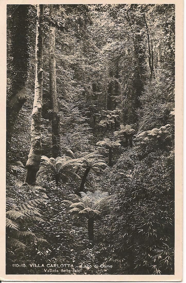 LAGO DI COMO - VILLA CARLOTTA - VALLATA DELLE FELCI - NV