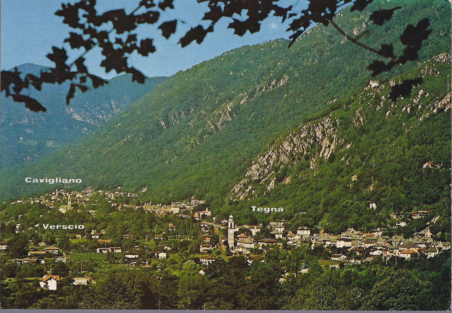 TERRE DI PEDEMONTE - TEGNA VERSCIO CAVIGLIANO - NV