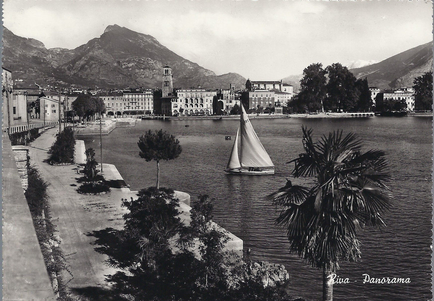 RIVA - PANORAMA - NV