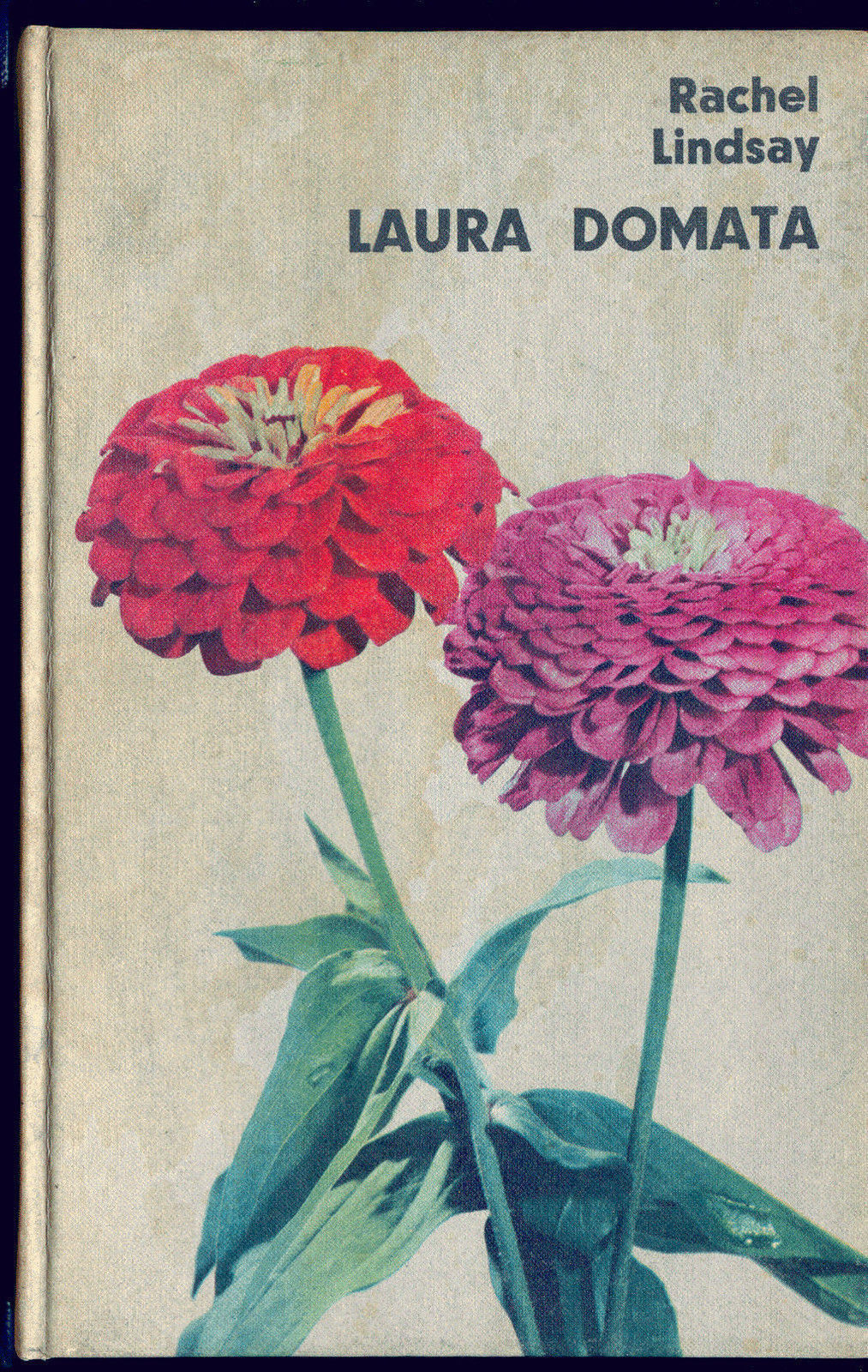 LAURA DOMATA - RACHEL LINDSAY