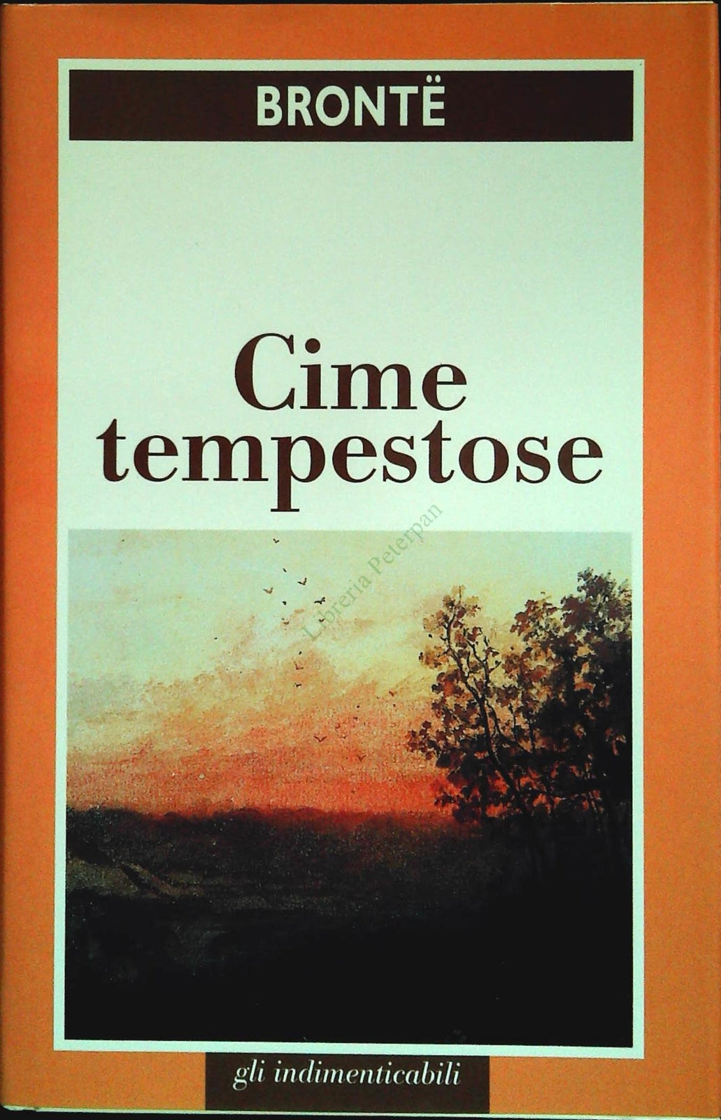 CIME TEMPESTOSE - EMILY BRONTE - FAM. CRISTIANA 1999 - OUTLET DEL LIBRO