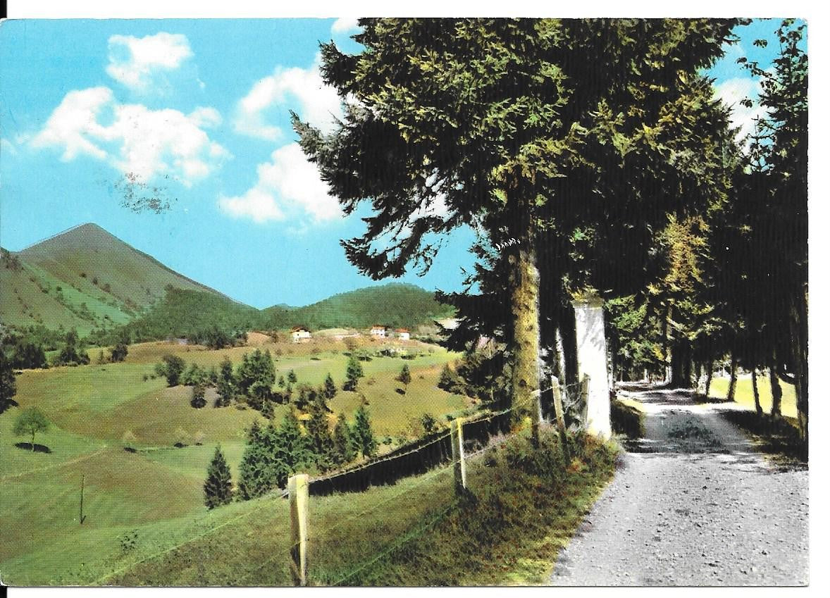 BOSSICO - PASSEGGIATA IN PINETA - V1966