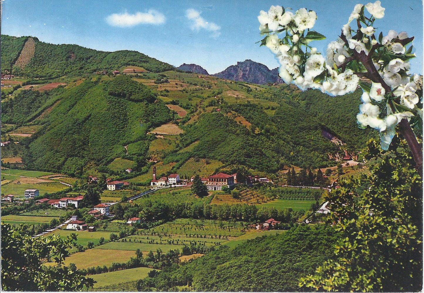 LUVIGLIANO DI TORREGLIA - PANORAMA E VILLA DEI VESCOVI - V19