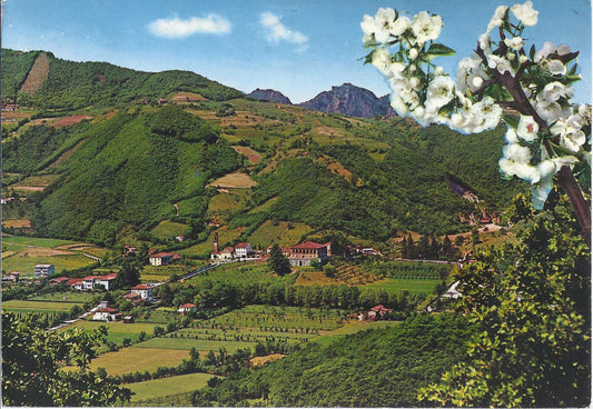 LUVIGLIANO DI TORREGLIA - PANORAMA E VILLA DEI VESCOVI - V19